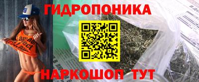 Альфа ПВП Кингисепп