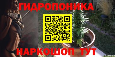Альфа ПВП Кингисепп