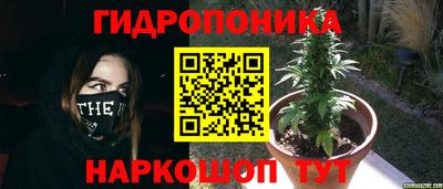 амф Кинель